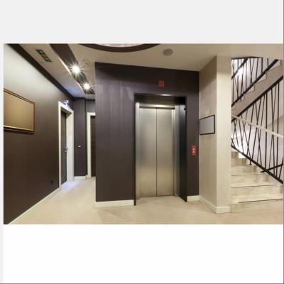 China Customize 400 Kg Elevator China High Quality Residential Home Elevator for sale