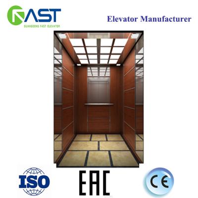 China Customize Passenger Elevators FAST Small Home Elevator Cheap Home Lift Residential Price for sale