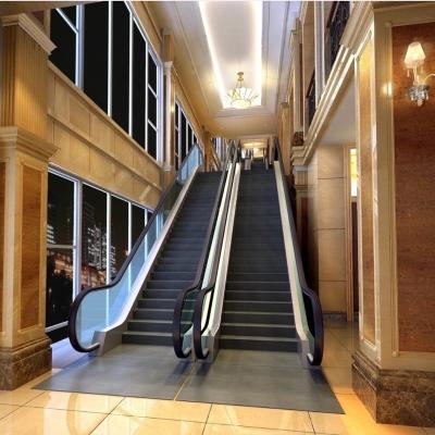 China Modern High End Definition Without Step 600-800-1000 35 Angle Sound Escalator for sale