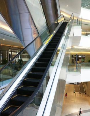 China Customize VVVF Drive Supermarket Qualified Indoor Home Home Escalator for sale