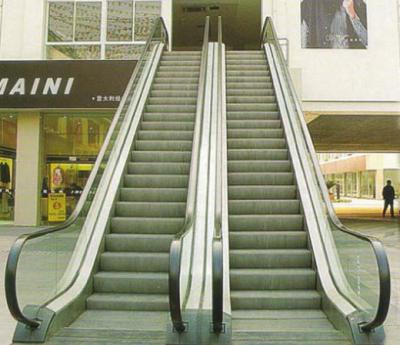 China Customize high strength truss structure supermarket passenger escalator shoppingmall elevators for sale