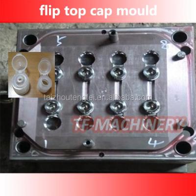 China Steel Flip Top Cap Injection Mold for sale