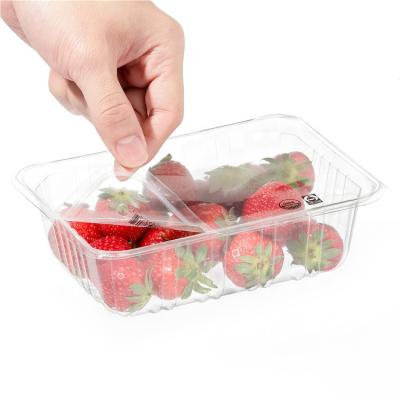 China Custom Printing Food Grade BOPET Moisture Proof Easy Skin Perforated Lidding Film For PP PET Cup Tray For Strawberry Tomato Blueberry Cherry Fruit for sale