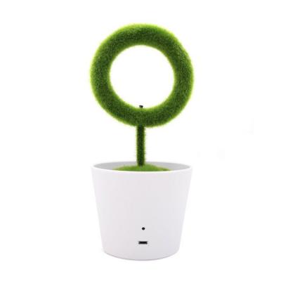 China New Fashion Car Activated Bamboo Charcoal Substrate Air Purifier With Evergreen Plants for sale