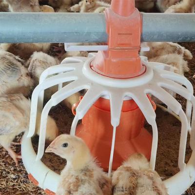 China Poultry Farm Chicken Feed TBB Poultry Chamber Full Tower Main Project Automatic Line Chicken Feed Equipment Broiler Feeding System for sale