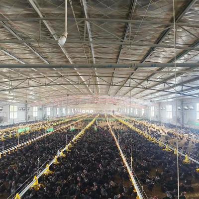 China Poultry Farm Chicken Feeding TBB Poultry Farm Equipment Feeder Pan Automatic Broiler Floor Feeding Line Raising System For Sale for sale