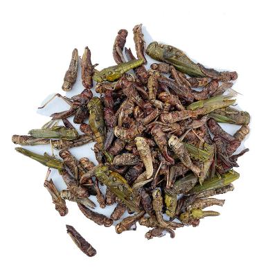 China Edible Insect Stored For Bird Microwave Dried Grasshoppers Mealworm for sale