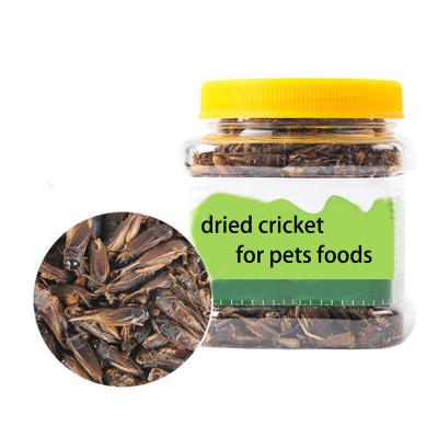 China Fish Processing Plant Private Label Natural Pet Food Dried Crickets for sale