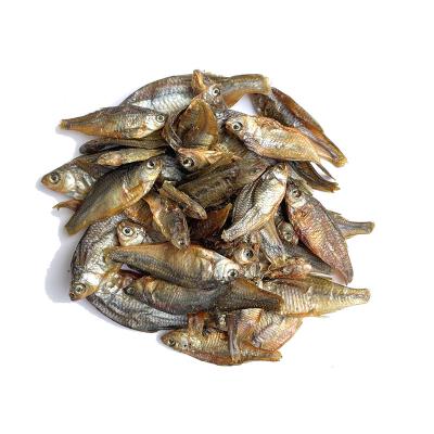 China Stored Tian Technology In Most Popular Animals High Quality Sunshine For Drying Dried Cat Pet Food Fish for sale