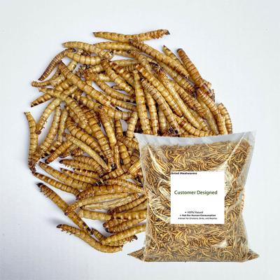 China Hot Selling Stocked Plugs High Protein Fish Food Microwave Dried Tenebrio Molitor for sale