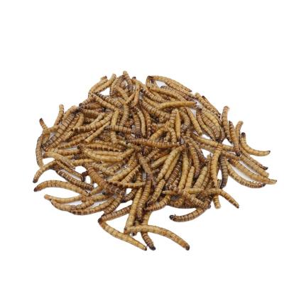 China Stored Protein Dried Mealworm Animal Feed Grade Best Dried Worm Meal Protein Chicken Reptile Pig Horse Horse Dog Fish for sale