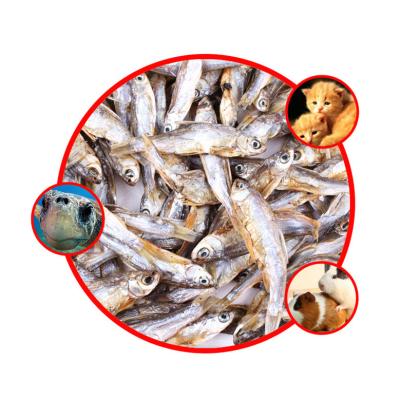 China Sustainable Hot Wholesale Healthy Freeze Dried Pet Food Fish Manufacturer for sale