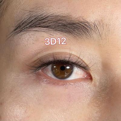 China 100% natural good quality pbt 747 siber soft tapered eyelash natural private label hair China Sunland 3D strip eyelashes for sale