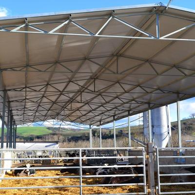 China Large-Span Low Cost Simple Design Cow House Prefab Steel Structure Dairy Cow Shed Farm for sale