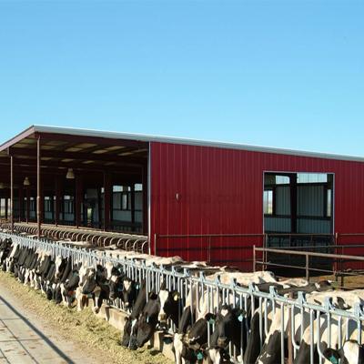 China Steel Structure Cow House Goat Shed Dairy Cow Farm Workshop Customized Prefab Building for sale