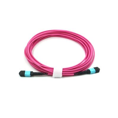 China LSZH Spring OM4 MM 12core Elite MTP MPO Trunk Assembly Cable Date Center Fiber Optic Patch Cord for sale