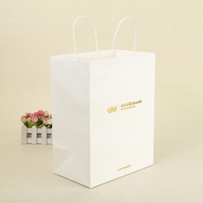 China Fancy Recyclable Kraft Paper Bags / Clothing Packaging Bags With Logo Printing for sale