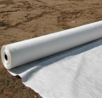 China New Filtration Design Geotextile Planting Landscape Architecture Greening Geotextile Small Width Rolls for sale