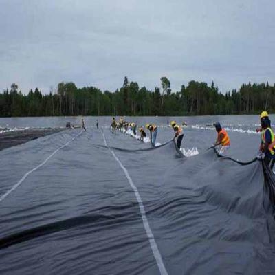 China Modern HDPE Geomembrane Plastic Fish Ponds Liner 2.0 Mm HDPE Geomembrane for sale