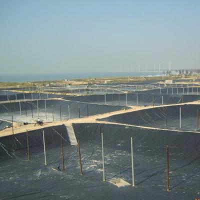 China Fish Farm Pond Dam HDPE LDPE PVC EPDM Geomembrane HDPE Geomembrane Liner / 0.2-2.0mm / HDPE Pond Liner for sale