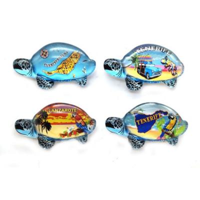 China Shape Custom Printed Glass Magnets Crystal Fridge Magnet For Turtle Fridge Souvenir for sale