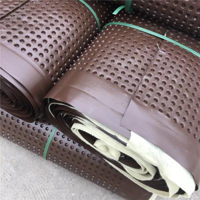 China 3m Width Dimple Drainage Cell Brown HDPE Drainage Board for Effective Drainage and Water Flow for sale