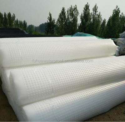 China Artificial Water Storage Drainage Board for Hotels and Gardens 2m Width Cell Garden Drain Cell for sale