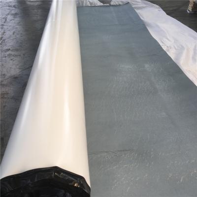 China TPO Waterproof membrane high polymer waterproof material for sale