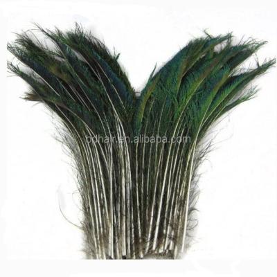 China Peacock feather peacock feathers long 50cm, 60cm, 70cm, 80cm for sale