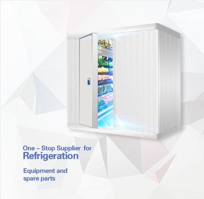 China Container Walk In Freezer Storage Cold Storage Refrigeration White Room Modular Panels Including Ceiling, Walls And Floors for sale