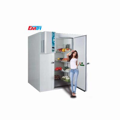 China Energy Saving Cold Storage Room Designing Cold Rooms Cold Camera For Preserving Seafood for sale