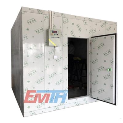 China Container EMTH customs cold rooms, coldrooms, cold storage cold room freezer with PU hinge door for sale