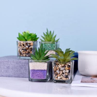 China Haworthia Potted Eco-friendly Glass Mini Artificial Succulents Small Plants to Pots Small Plant with Pot for sale