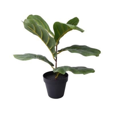 China Natural Contact Artificial Arrowroot Grow Leaves Bonsai Plant Wholesalers Artificial Indoor Plants Potted Plant for sale