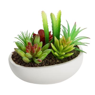 China Europe Artificial Succulent Plants With Ceramic Succulent Pots Succulent Planter for sale