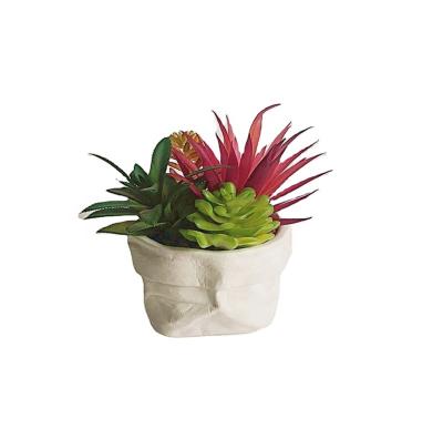 China Eco - Friendly Artificial Succulent Planter Pot With Artificial Cement for sale