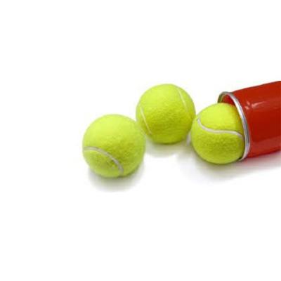 China Wooden Paddle Tennis Ball 3 Balls Customized Logo Customized Tennis Ball Can Padel Pack 63.5*67.7mm for sale