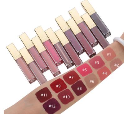 China Style 12 Color Matte Cup Waterproof Warm Mist Non - Moisturizing Liquid Lipstick for sale