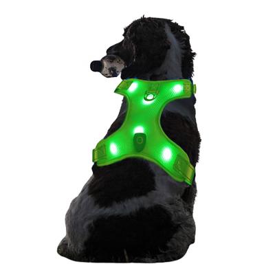 China 2023 New Type C Lights Charging 400mA High Capacity Battery LED Level Display Beads Back Dog Chest for sale