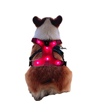 China Pet Products Night Safety Lights Small And Medium Dog Type C Charging Multi Led Bead Dog Chest Strap for sale