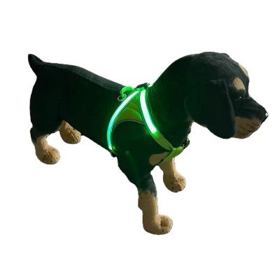 China New Sliver Lights USB Dog Safety Strap Nylon Spring Collar Anti Adjustable Snap Dog Chest Strap for sale