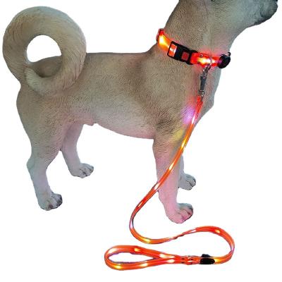 China 2023 New New Bag Lights Blue Yellow Orange Colorful Dog Traction Rope Polyester Material LED Plastic Nylon Sliver for sale