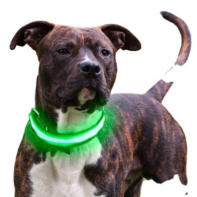 China Lights OEM Customized IPX7 High Quality Waterproof Flash Dog Safety Glow Dog Collar Type C USB Charging LED Dog Collar for sale