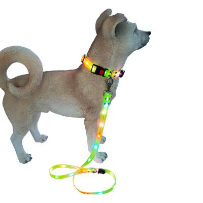 China New Lights Plastic Strap USB Charging Soft And Waterproof Adjustable Rope Dog Pet LED PVC Luxury Set for sale