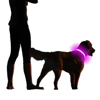 China OEM IPX7 Waterproof and Wearable ODM Swimming Bubble Lights Factory Customized Wash LED Luminous Dog Collar for sale