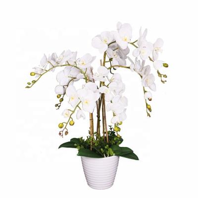 China Artistic/Eco-friendly/Easy to Assemble New Arrival Factory Beauty Factory Handmade White Fabric Butterfly Real Touch 75cm Orchid Flower for sale