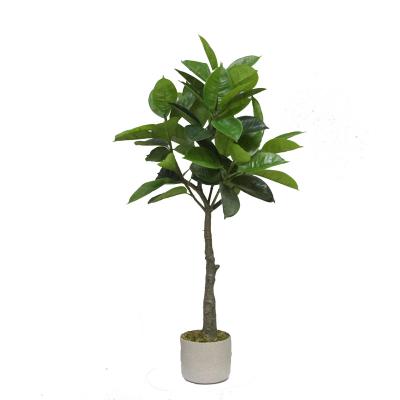 China Environmentally Friendly/Easily Assembled Home Decoration Popular Artificial Seedling Plant PE PE Branches for sale