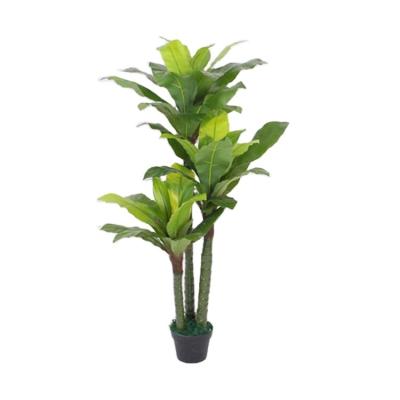 China Plastic Artificial Plant Potted Green Tree High Quality Environmental/Eternal/Realistic Artificial Decorative Venue Use With Roots for sale