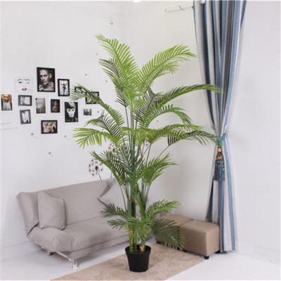 China Artificial Date Palm Tree Plastic Plant Touched / Eco - Friendly Easily Assembled / Real For Indoor Decoration for sale