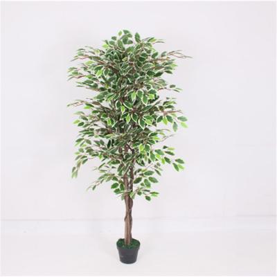 China Eco-friendly/Easily Assembled/Eternal Hot Selling China Artificial Plants Small Artificial White Edge Small Banyan Tree For Indoor Decoration for sale